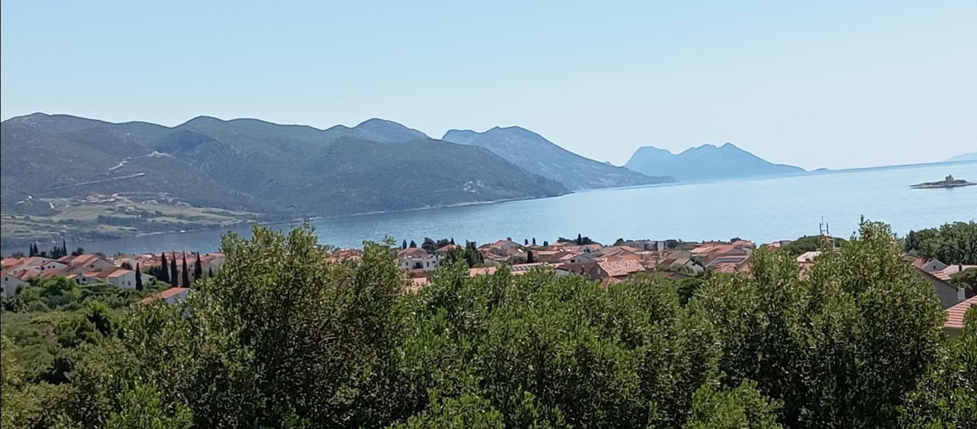 Jamm Mare E Monti *